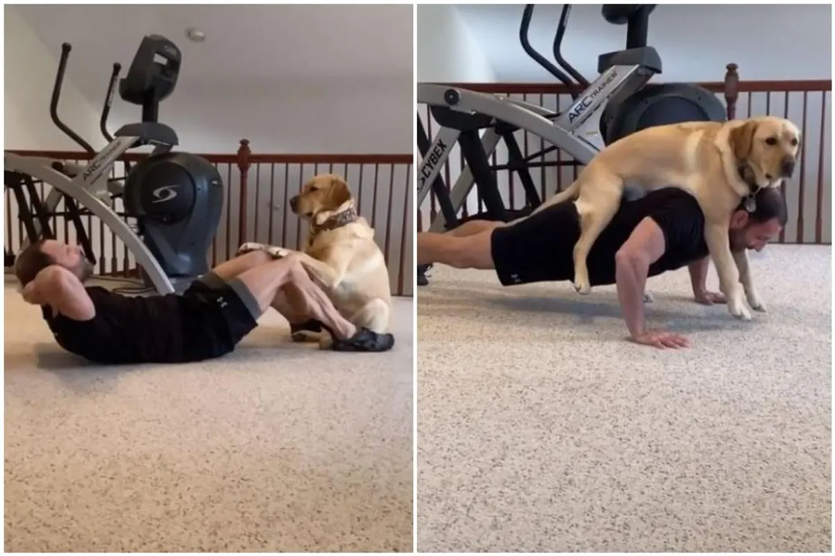 Terapijski pas koji pomaže svom čovjeku vježbati najslađa je stvar koju smo danas vidjele