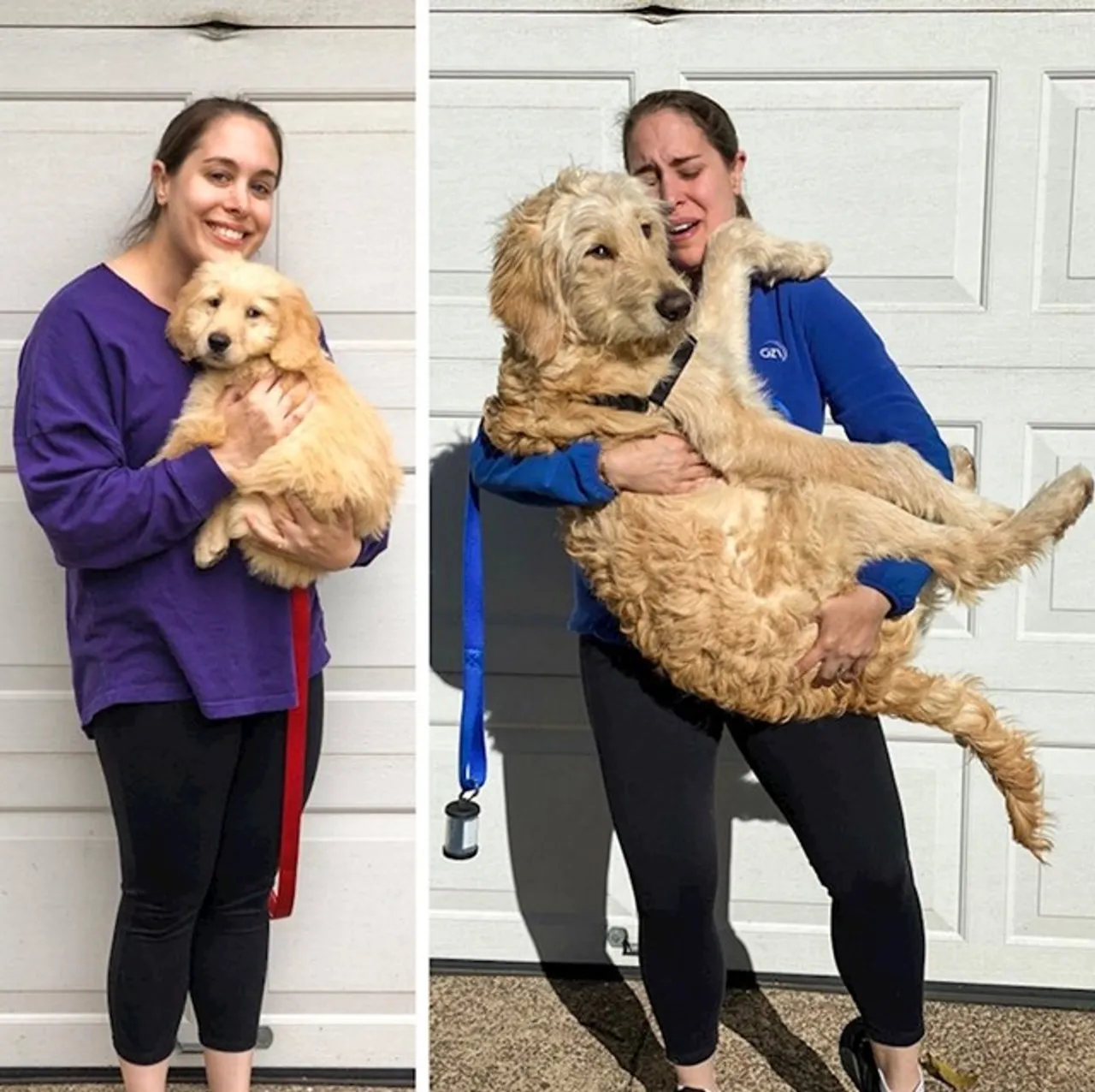 Prije i poslije: Pogledajte slike pasa i njihovih vlasnika dok zajedno odrastaju