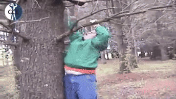 smile-a-little-more-we-all-need-a-laugh-gifs-4