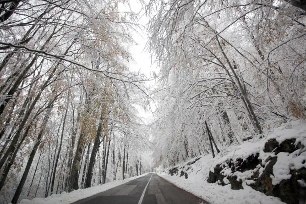 Zbog olujnog vjetra za sav promet zatvorena je dionica autoceste A6 Kikovica-Delnice.