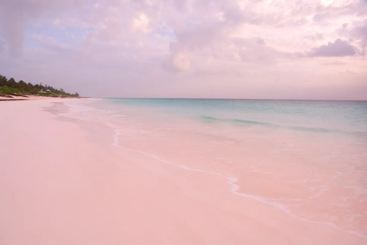 ružičaste plaže