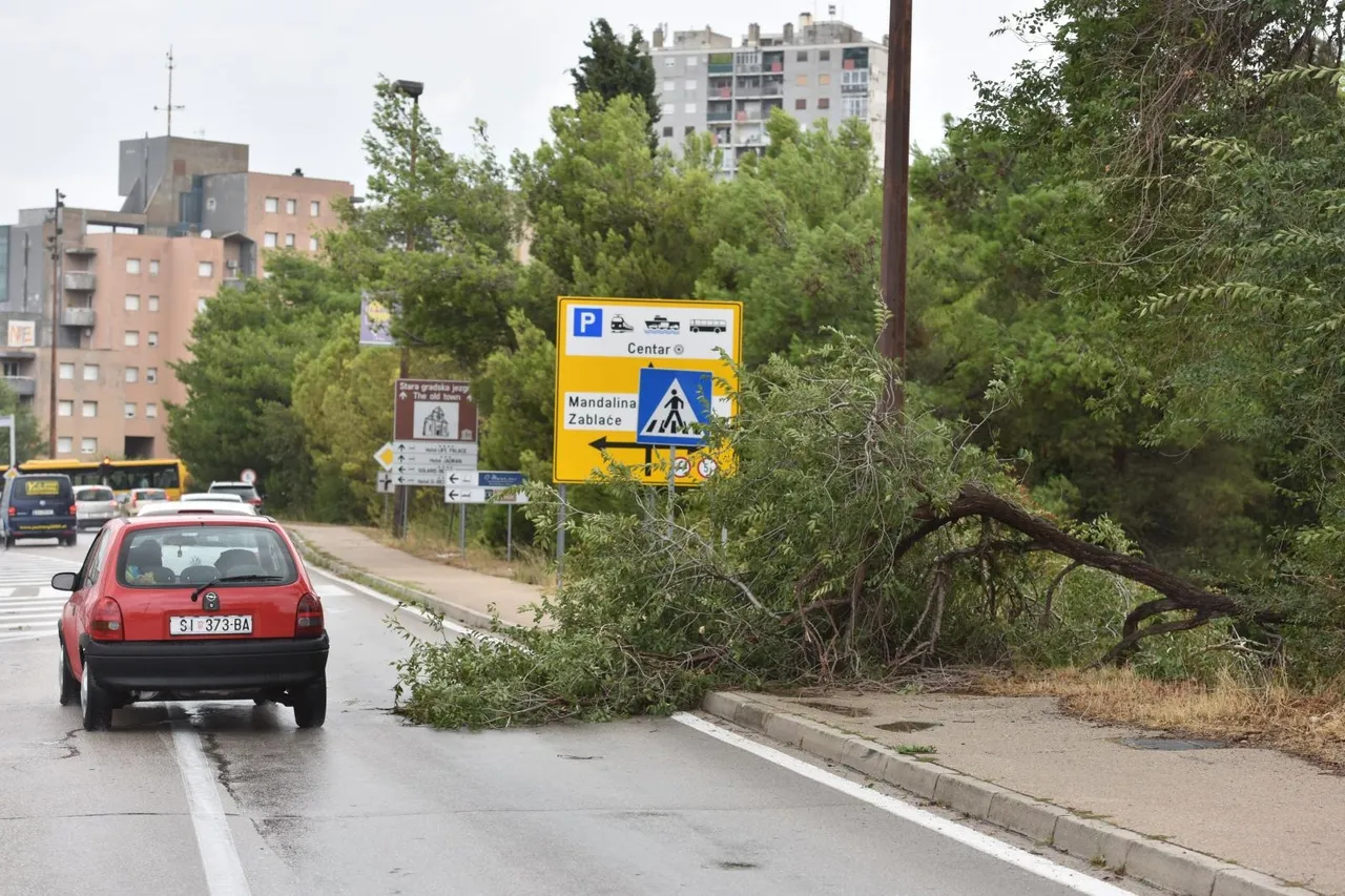 Nevrijeme u Šibeniku: vjetar srušio stabla uzrokovavši probleme u prometu