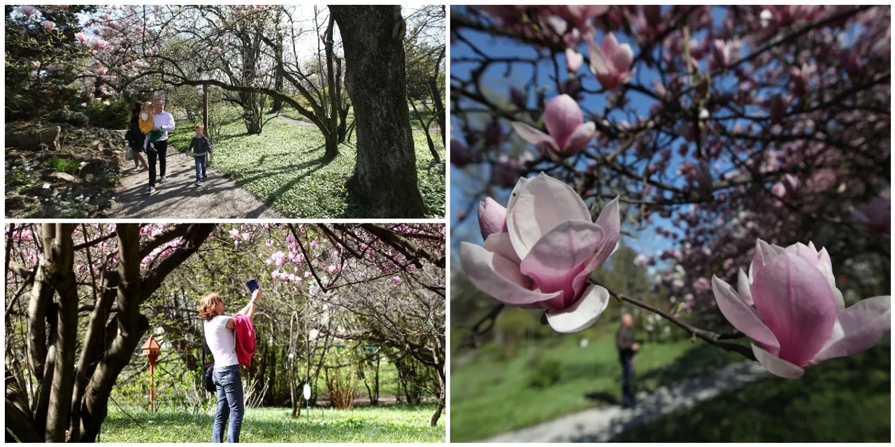 Kakva ljepota u srcu Zagreba: Bajkoviti park oživio pod toplim zrakama sunca