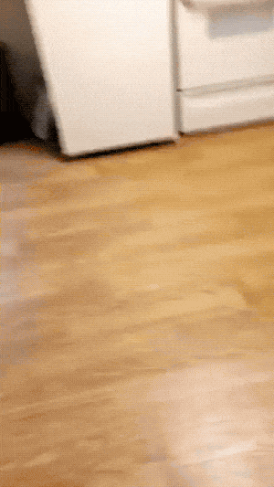 three-words-that-fking-sucks-35-photos-gifs-25-2