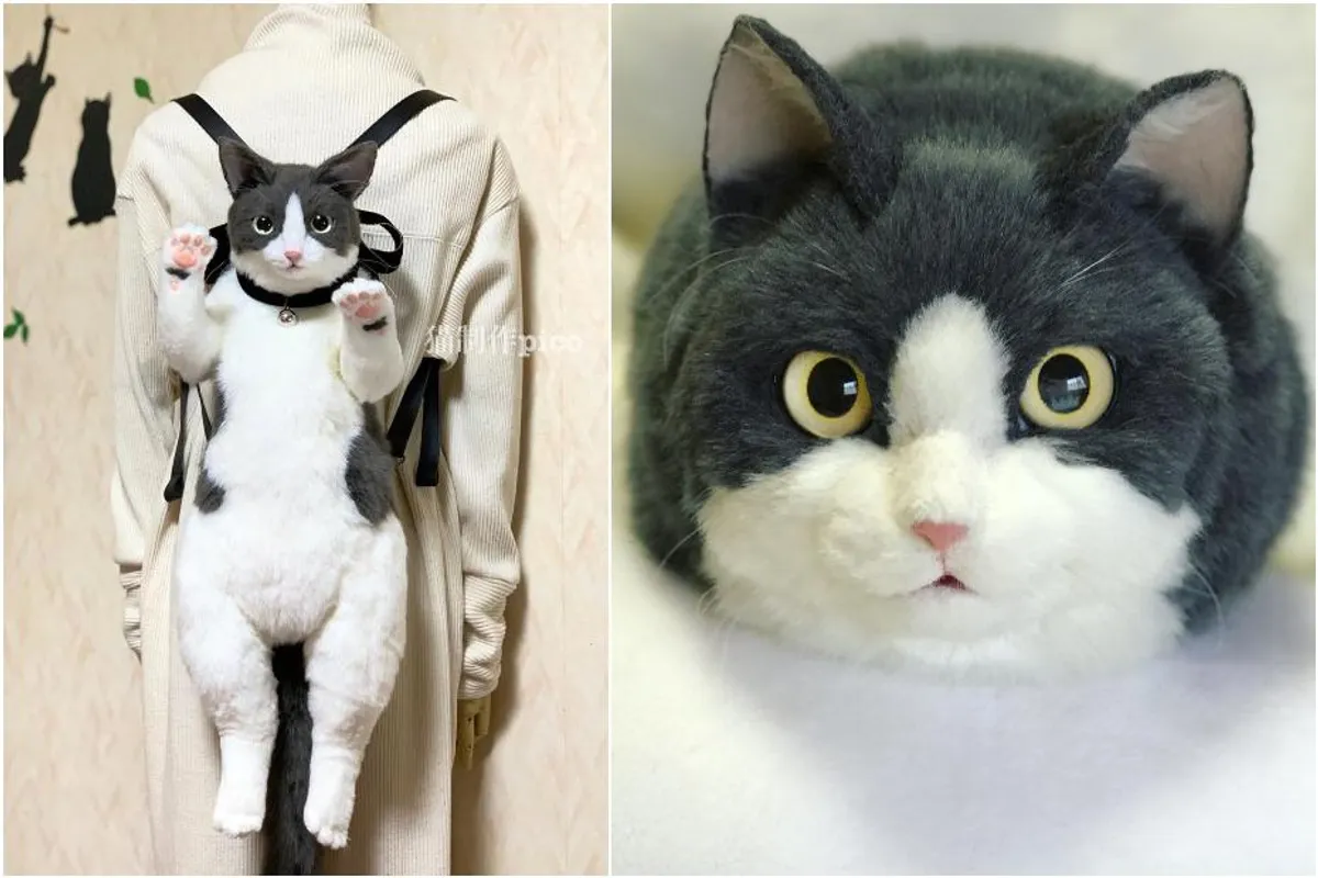Gdje drugdje nego u Japanu: Realne mačke torbice postale hit
