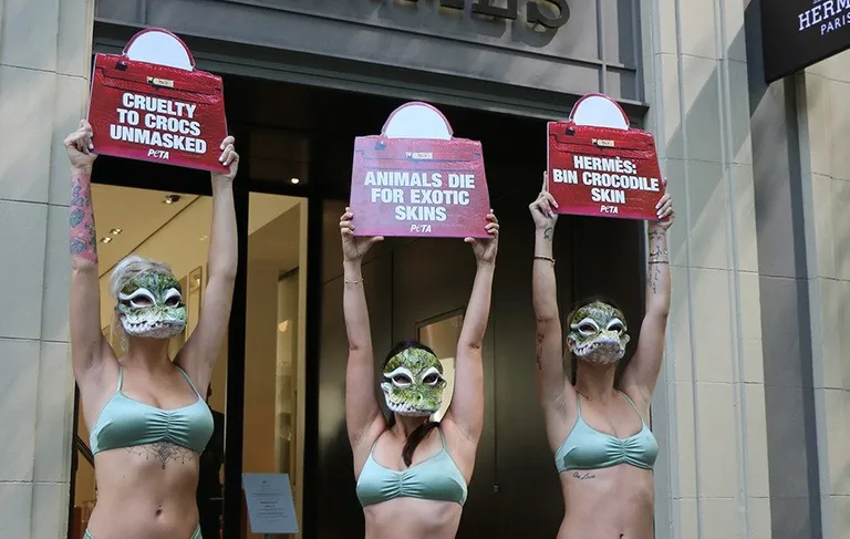 Bikini-clad models in crocodile masks protest