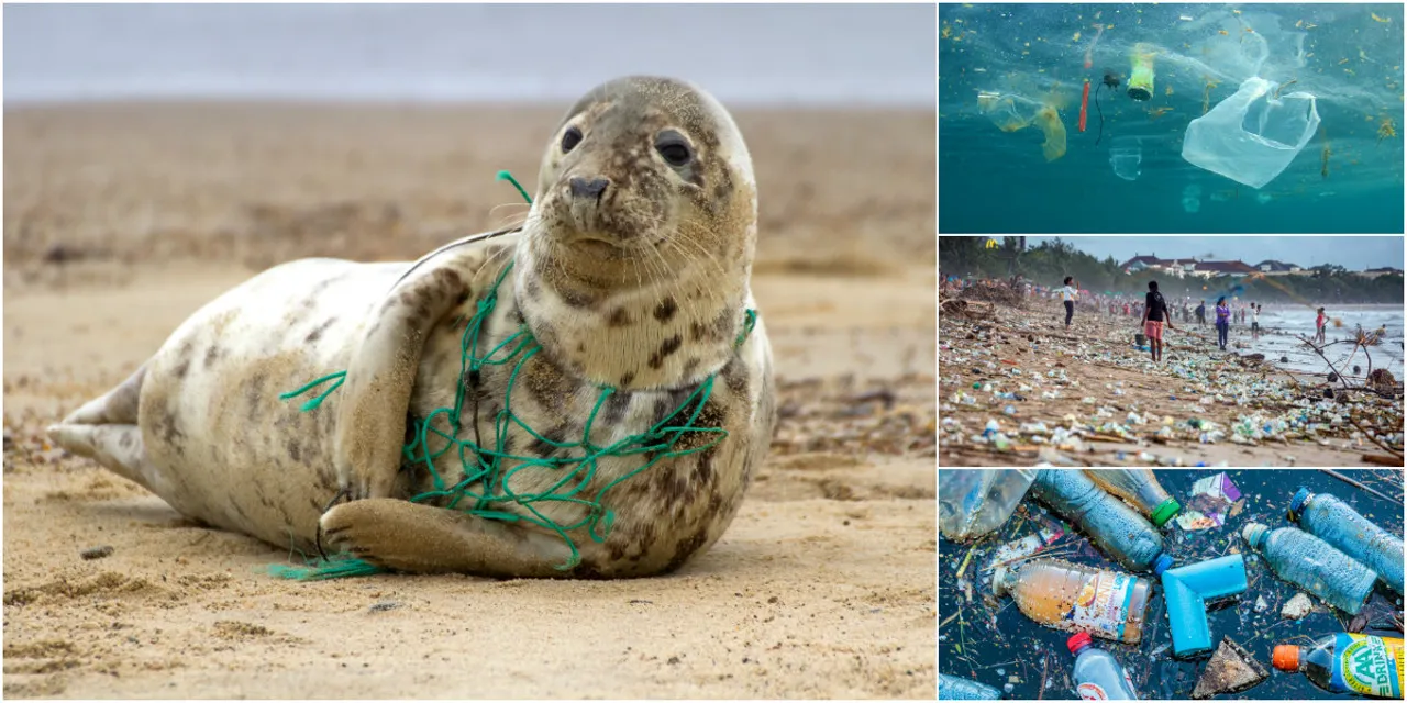 Danas je Međunarodni dan bez plastičnih vrećica: Možda vas ove fotografije uvjere u njihovu štetnost!