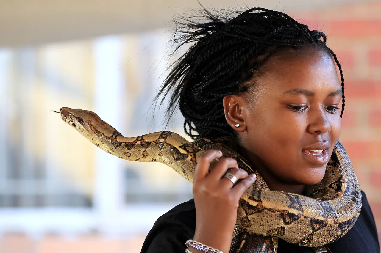 Soweto Snake Show