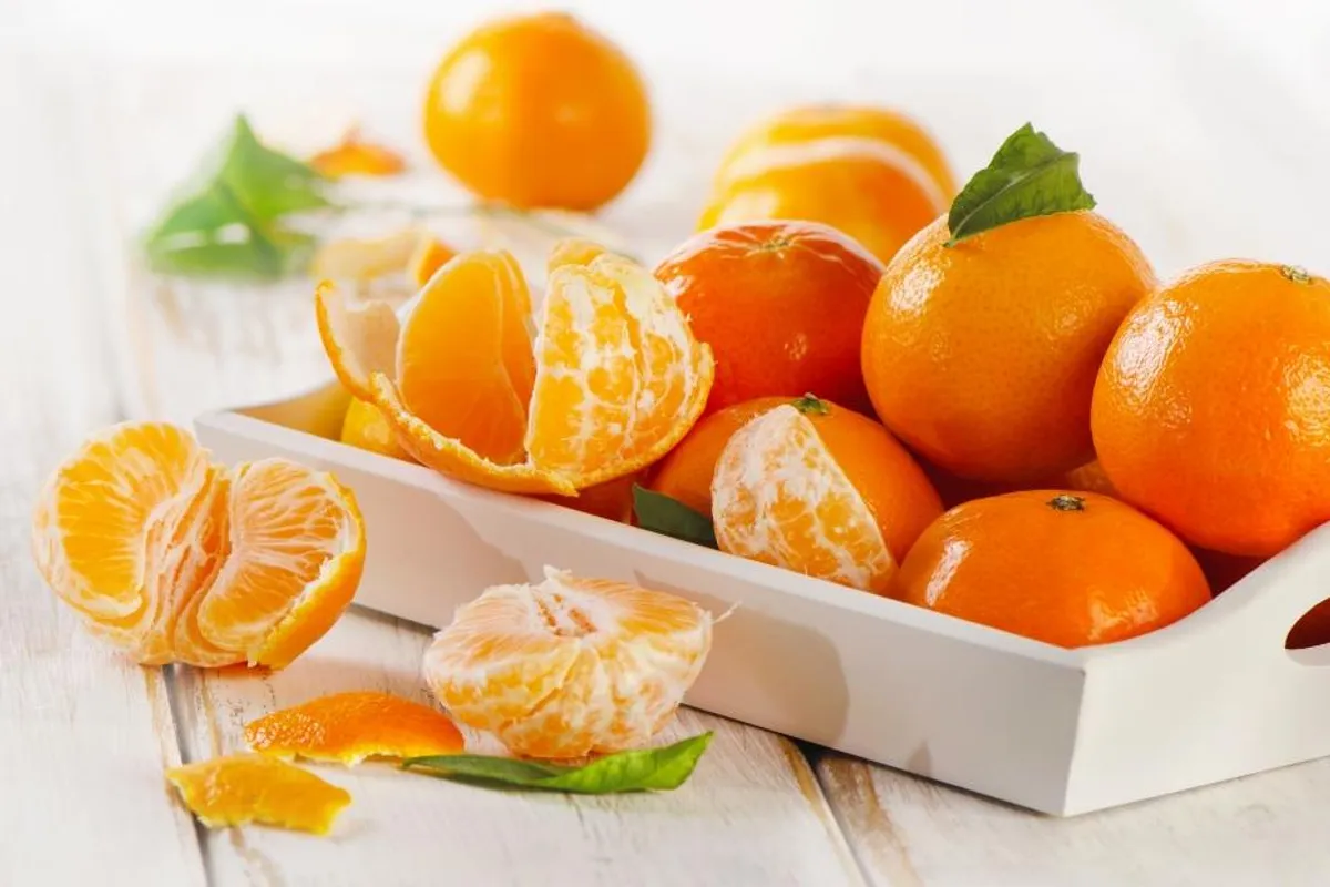Stigle su mandarine! Isprobajte ove fantastične recepte