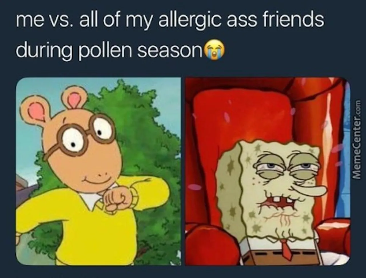 pretty-sure-im-allergic-to-these-memes-xx-photos-32
