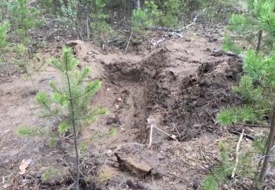 Grob u šumi koji je silovatelj morao sam iskopati