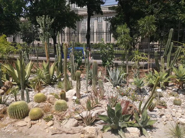 Vandali provalili u zagrebački Botanički vrt: Opljačkane i uništene vrijedne zbirke kaktusa