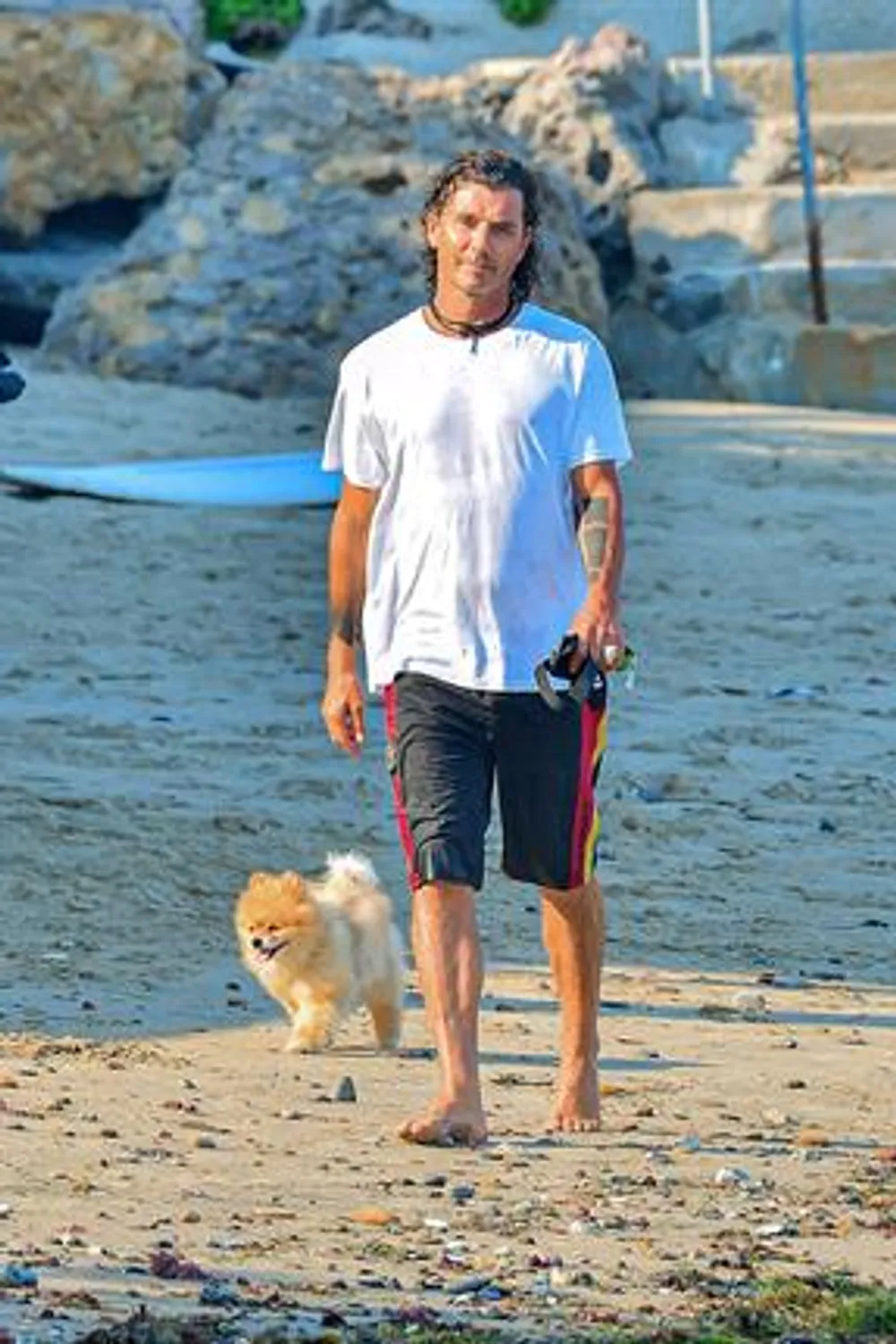 Gavin Rossdale