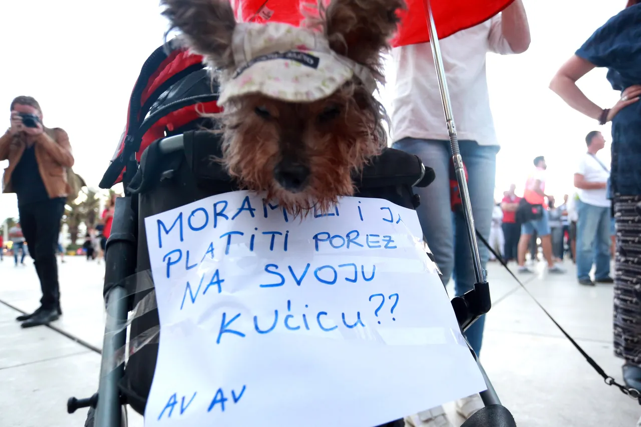 'Lopine vjerodostojne, i gaće nam skinite': Splićani na prosvjedu protiv poreza na nekretnine poručili - DOSTA!