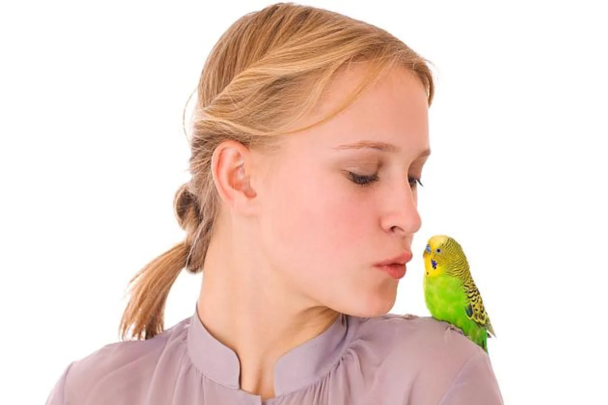 6 razloga zašto su ptice odlični kućni ljubimci